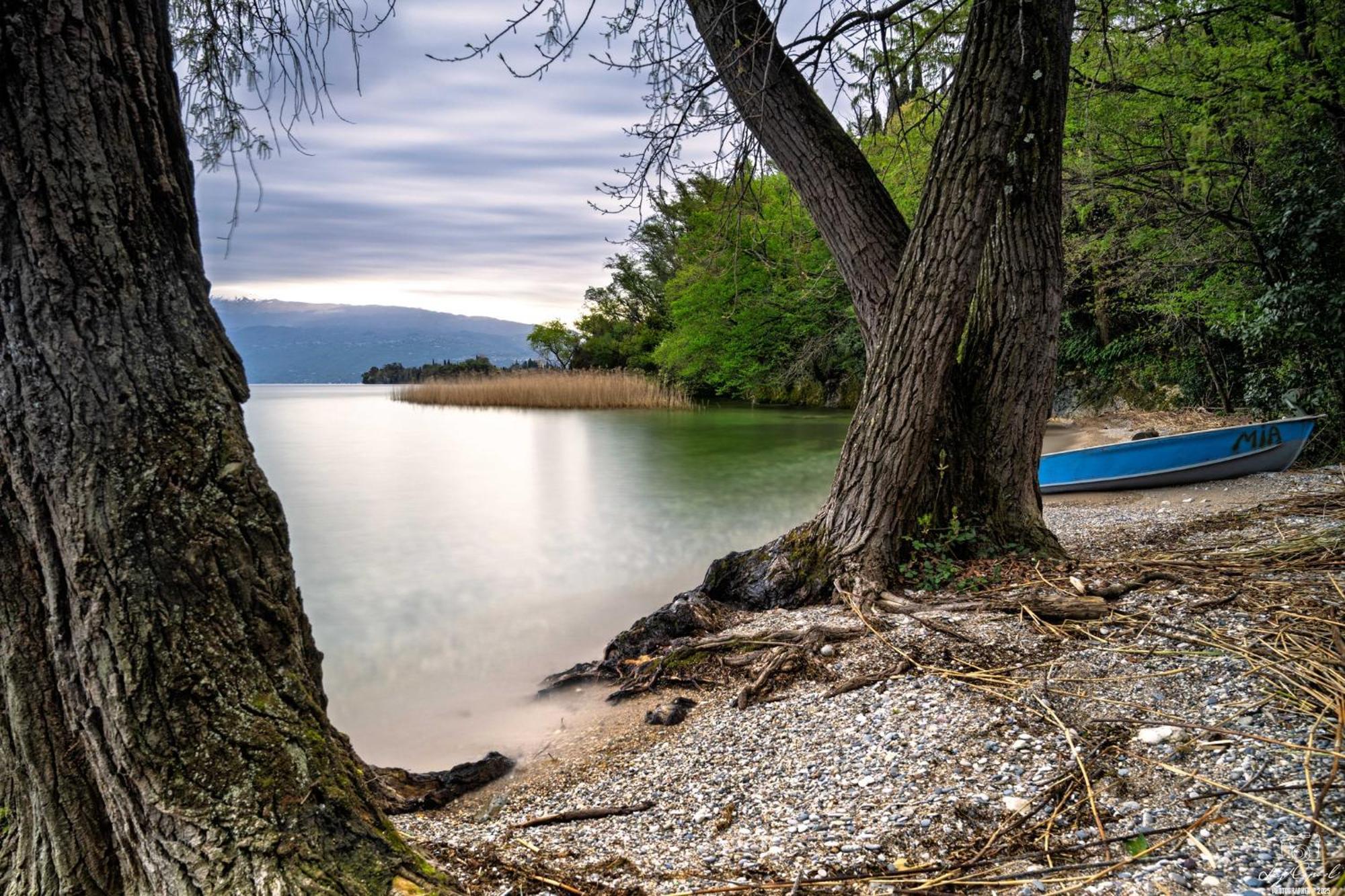 San Carlo Appartamenti Vacanze Soiano Del Lago Εξωτερικό φωτογραφία